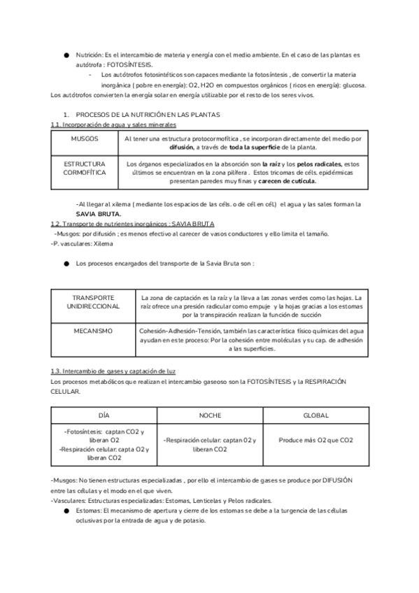 Miniatura del documento LAS-FUNCIONES-VITALES-DE-LAS-PLANTAS.docx