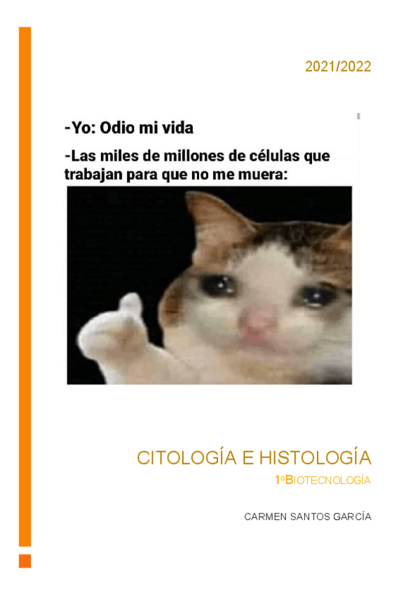 Miniatura del documento cito-carmen.pdf