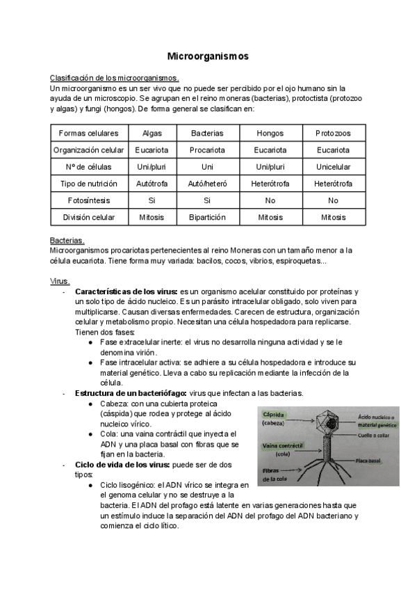 Miniatura del documento Tema-18-Microorganismos.pdf