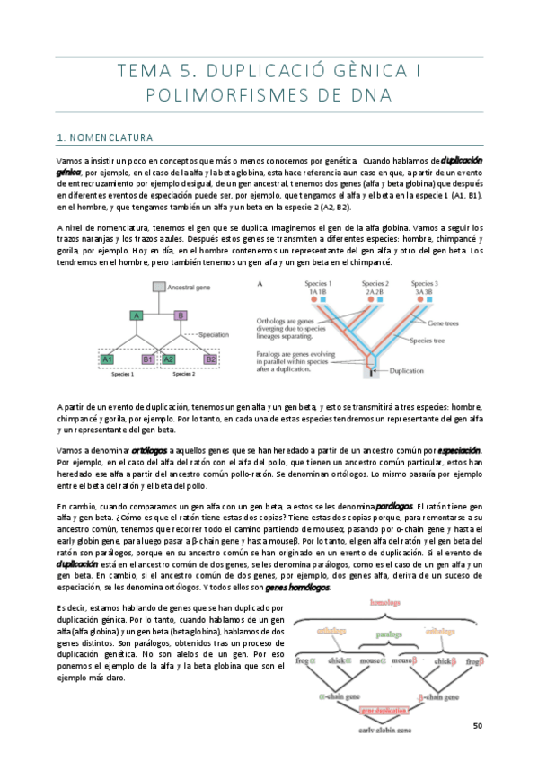 Miniatura del documento Tema-5.pdf