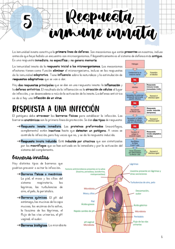 Miniatura del documento Tema-5.pdf