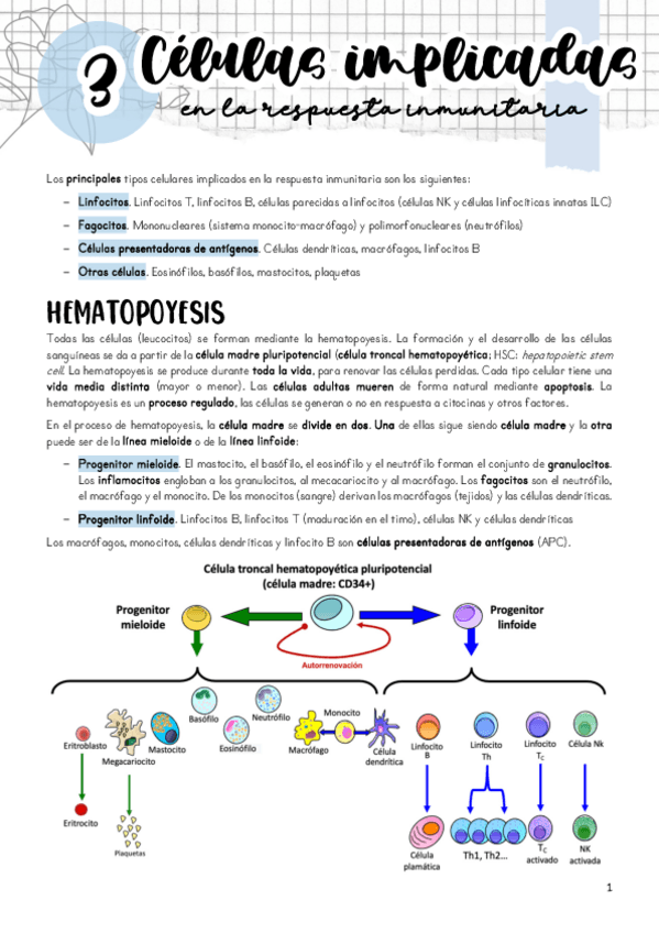 Miniatura del documento Tema-3.pdf