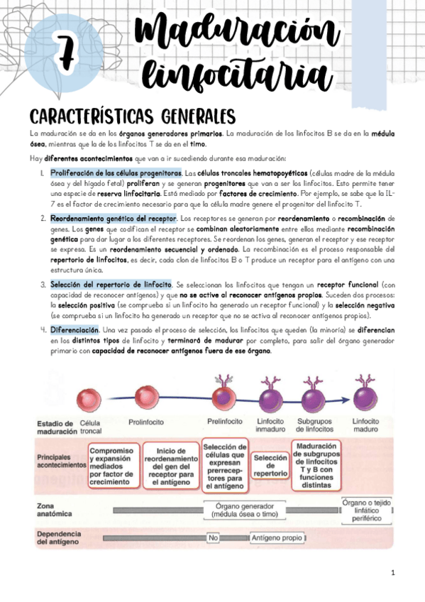 Miniatura del documento Tema-7.pdf