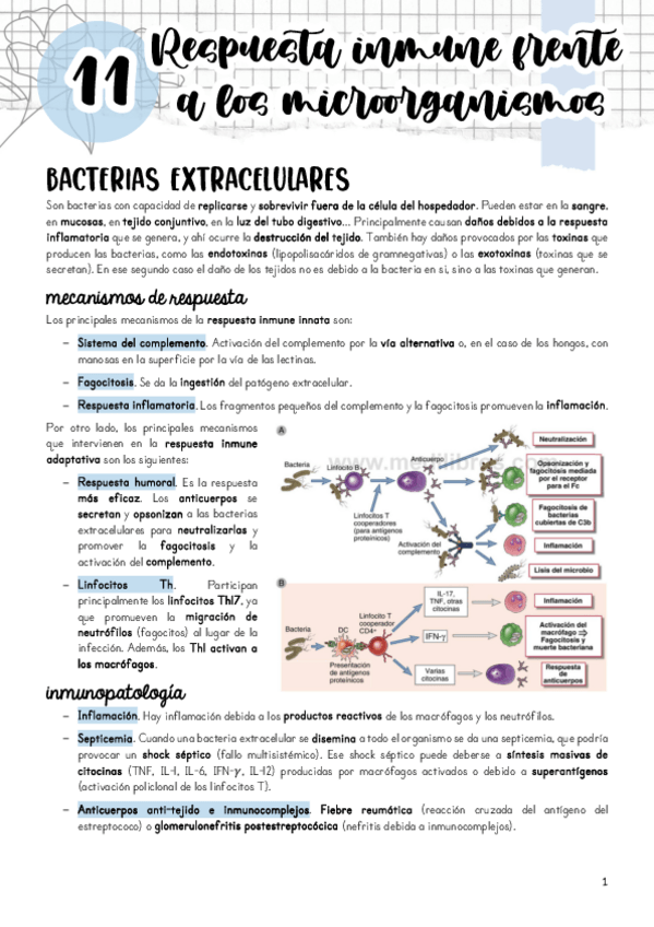 Miniatura del documento Tema-11.pdf
