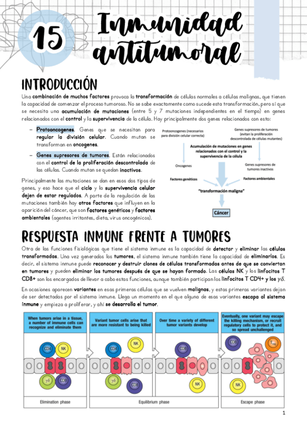 Miniatura del documento Tema-15.pdf