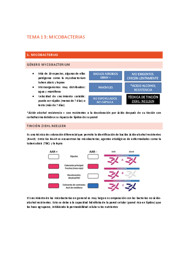 Miniatura del documento Tema-13.pdf