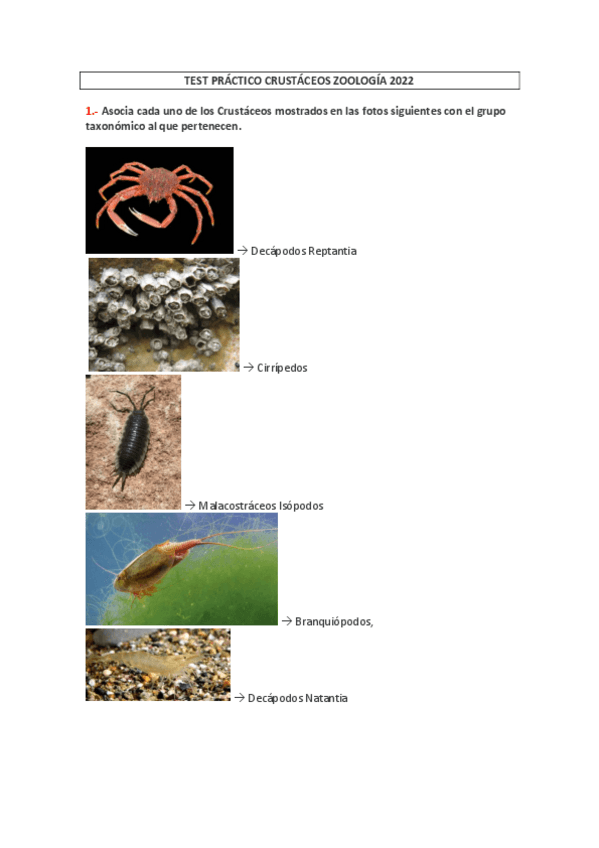 Miniatura del documento TEST-PRACTICO-CRUSTACEOS-ZOOLOGIA-2022.pdf