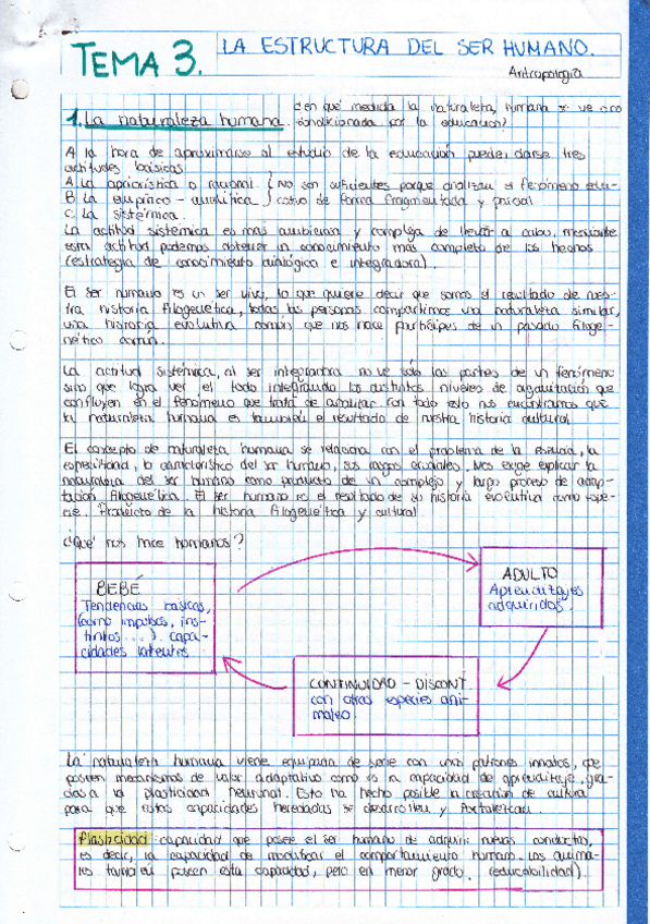 Miniatura del documento Capítulo 3. Bases Filosóficas y Antropológicas de la Educación.pdf