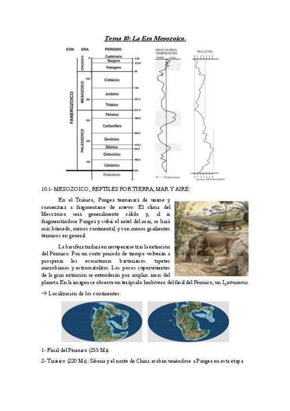 Miniatura del documento Tema-10-Geologia.pdf