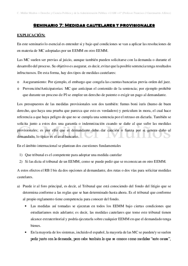 Miniatura del documento Seminario-7-Medidas-cautelares-y-provisionales.pdf