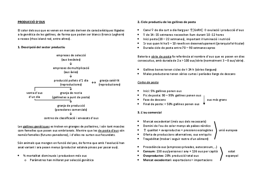 Miniatura del documento producció ous.pdf