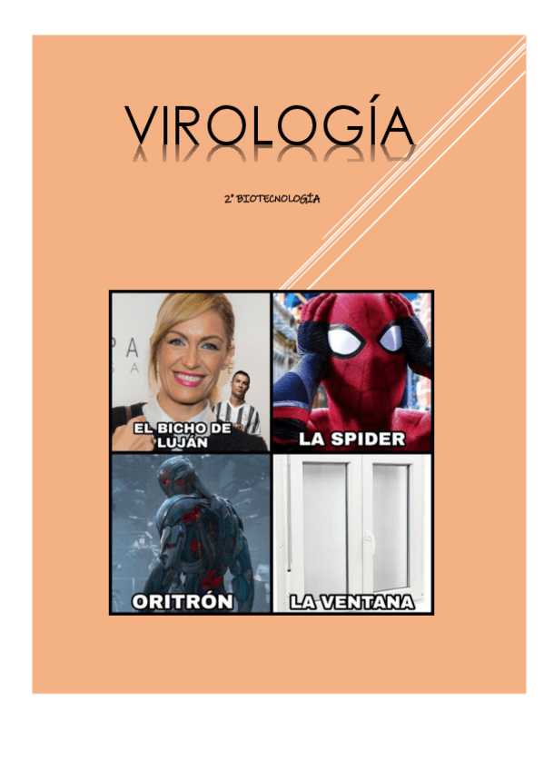 Miniatura del documento Temario-VIR-completo.pdf