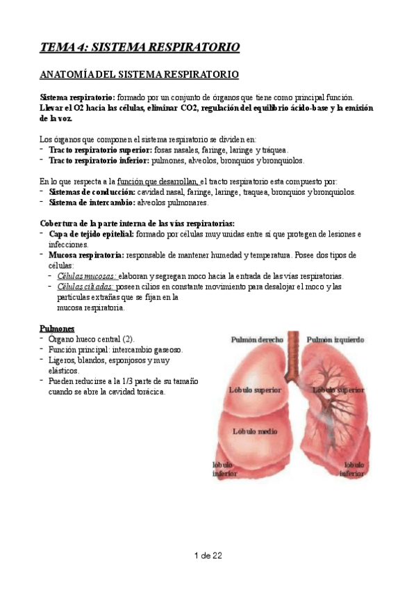Miniatura del documento TEMA-4.pdf