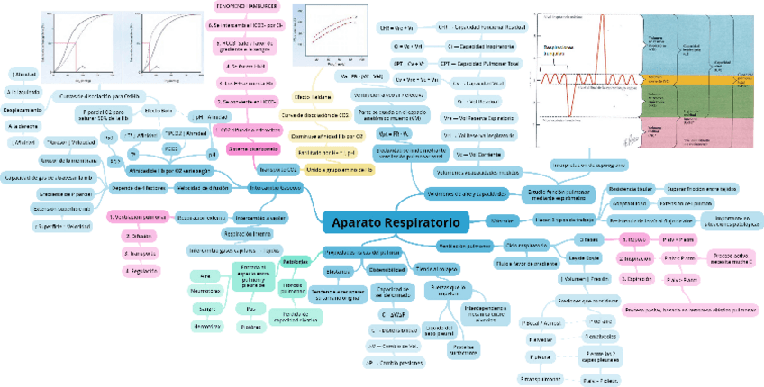 Miniatura del documento Sistema-Respiratorio.pdf
