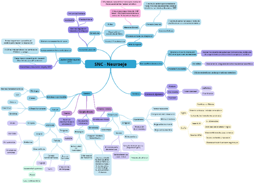 Miniatura del documento Sistema-Nervioso.pdf
