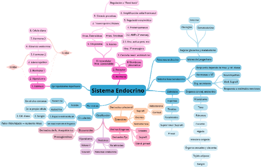 Miniatura del documento Sistema-Endocrino.pdf