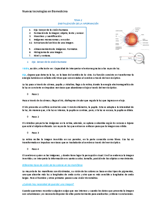 Miniatura del documento APUNTES-NUEVAS-TECNOLOGIAS-2022.pdf
