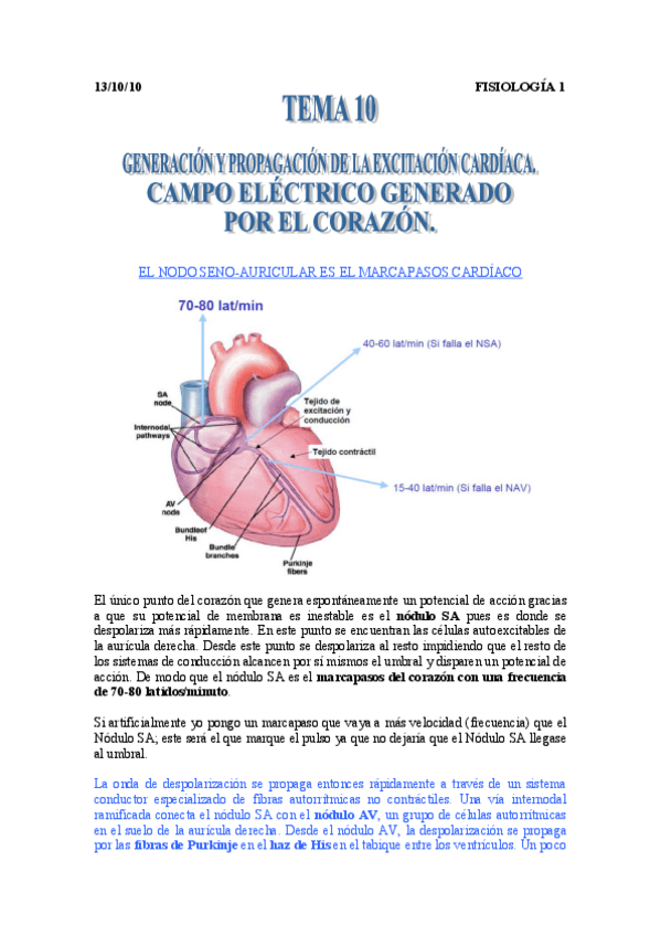 Miniatura del documento Tema_3_Campo Electrico del Corazon.pdf