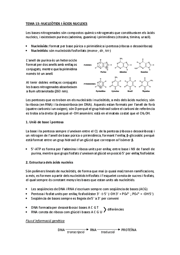 Miniatura del documento tema 13 nucleòtids i àcids nucleics.pdf