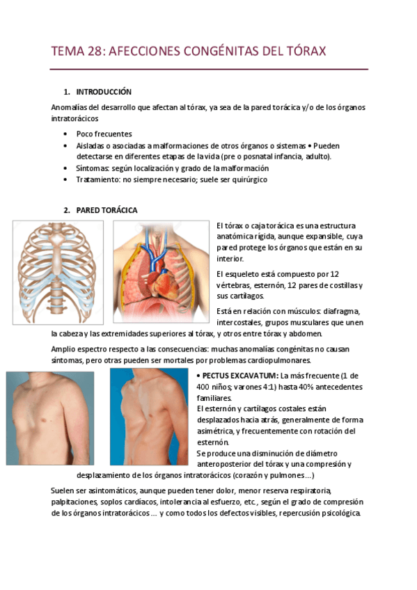 Miniatura del documento TEMA-28.pdf
