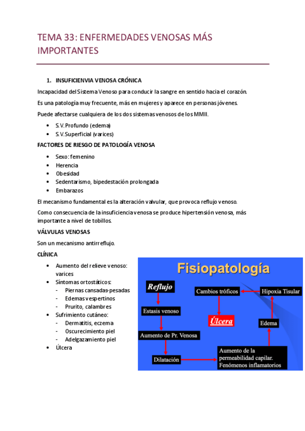 Miniatura del documento TEMA-33.pdf