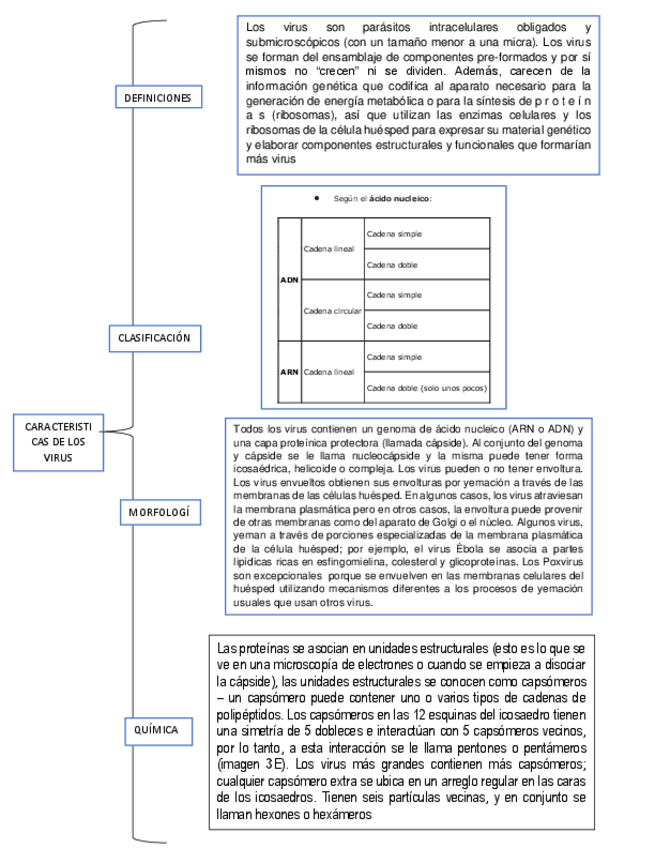 Miniatura del documento virus-esquemas.pdf