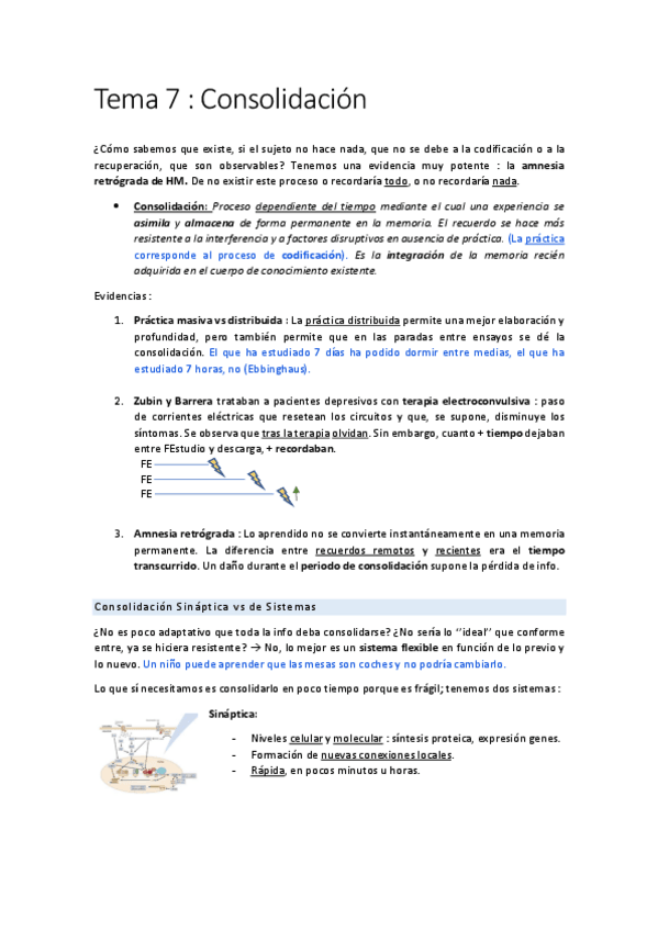 Miniatura del documento Tema-7.pdf