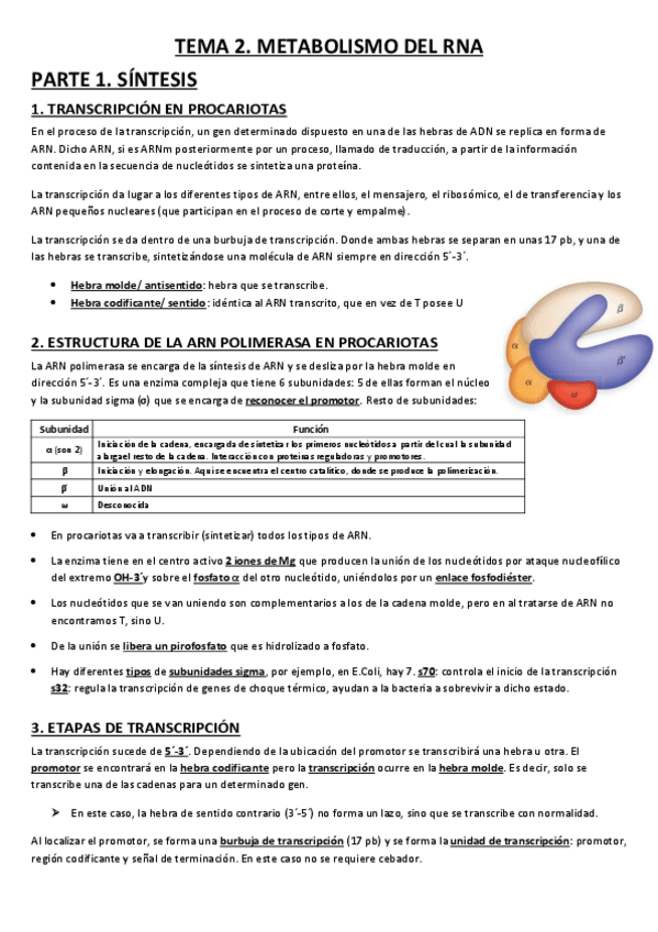 Miniatura del documento TEMA-2-BIOQ-3.pdf