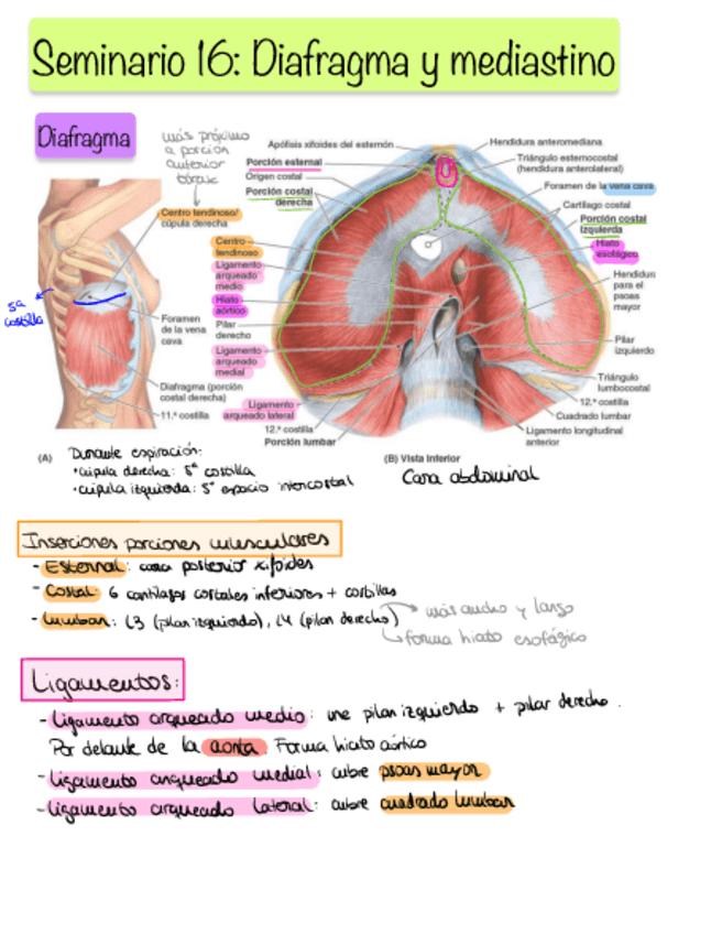 Miniatura del documento Esquema-S16.pdf