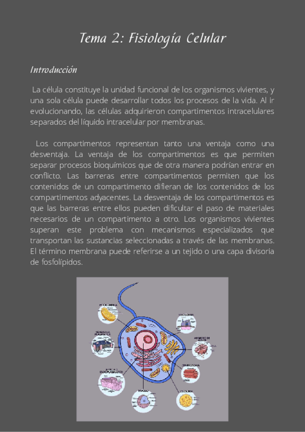 Miniatura del documento T2 - Fisiología Celular