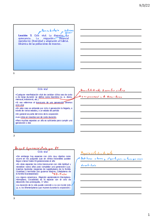 Miniatura del documento LeccioI-n-7.pdf
