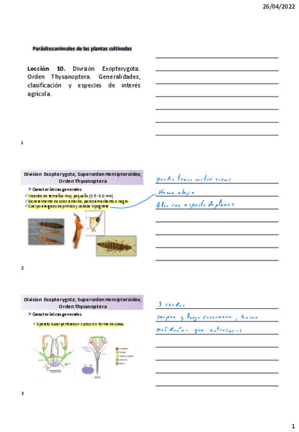 Miniatura del documento LecciAn-10.pdf