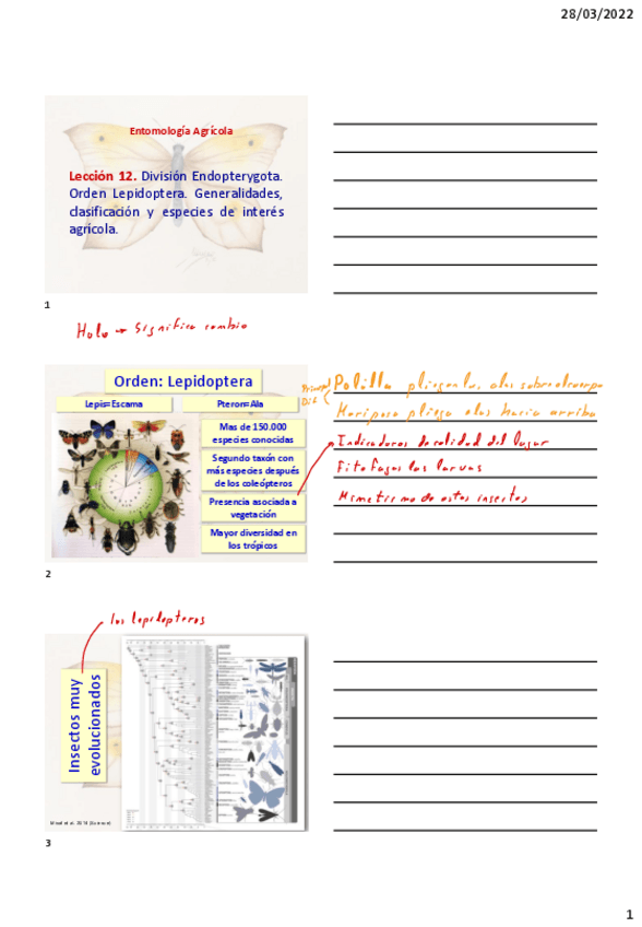 Miniatura del documento LecciAn-12.pdf