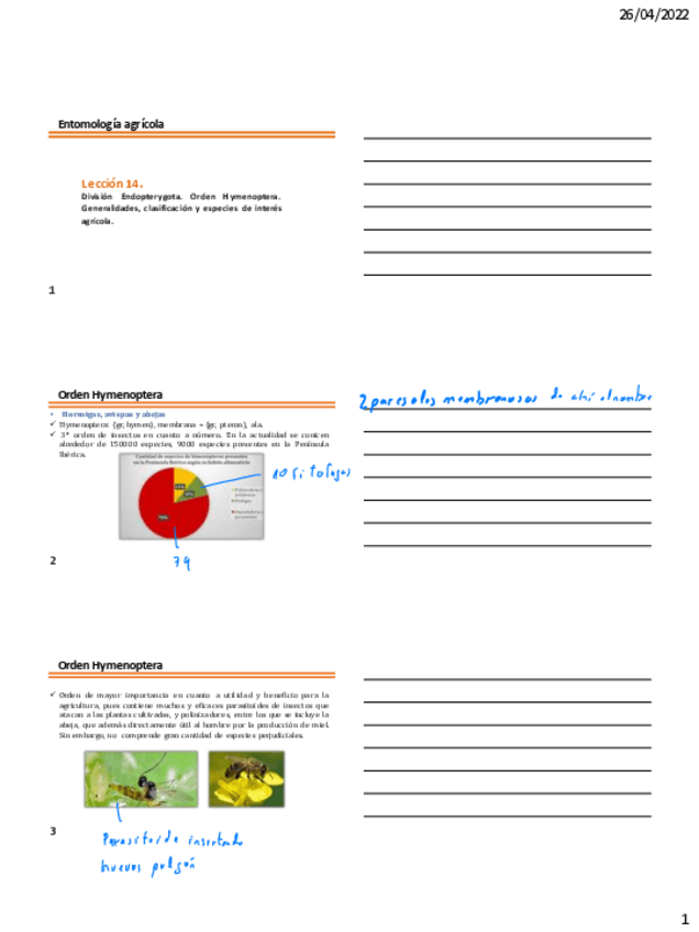 Miniatura del documento LecciAn-14-Hymenoptera.pdf