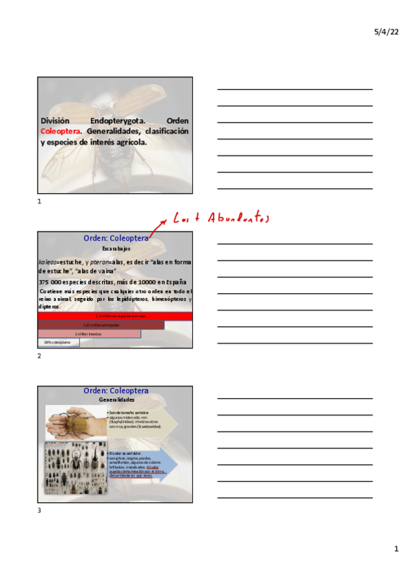 Miniatura del documento LeccioI-n-11.pdf