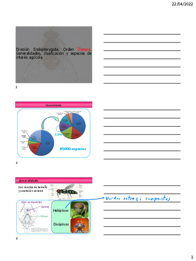 Miniatura del documento Orden-Diptera.pdf