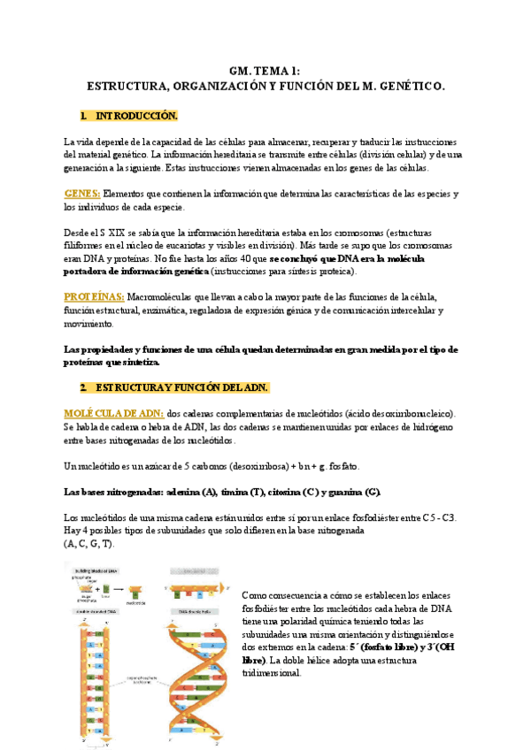 Miniatura del documento GM-T1.pdf