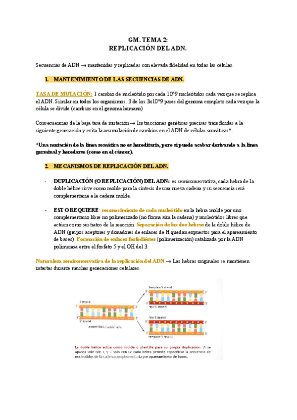 Miniatura del documento GM-T2.pdf