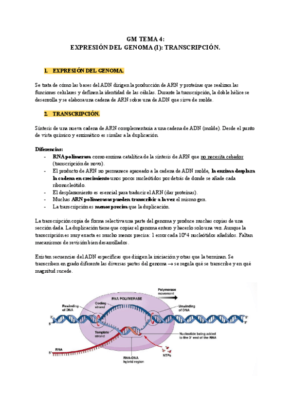 Miniatura del documento GM-T4.pdf