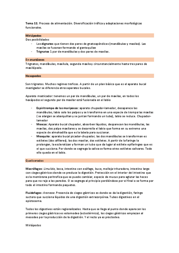 Miniatura del documento Zoo-II-Tema-11.pdf