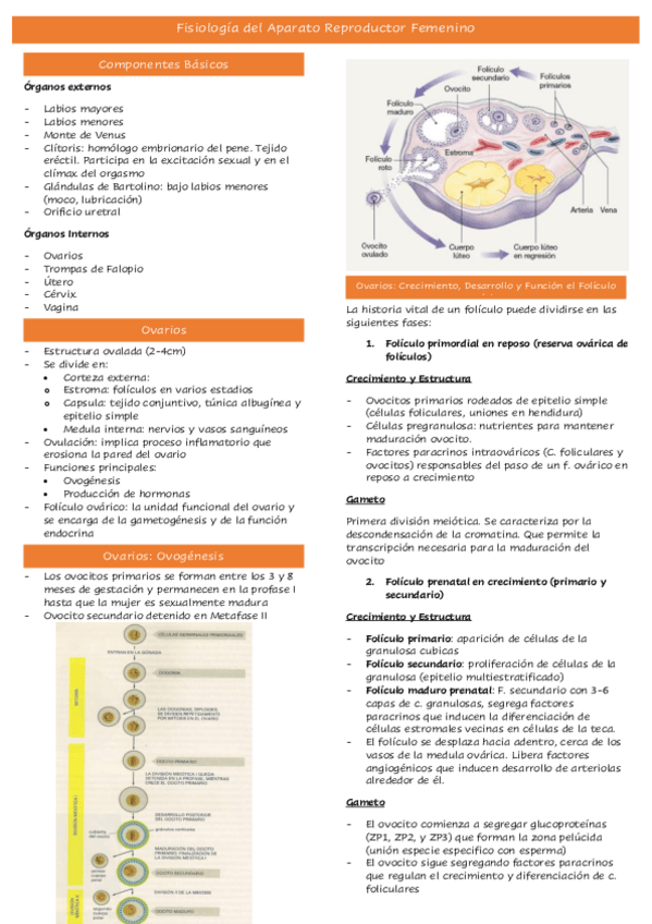 Miniatura del documento Tema-38.pdf