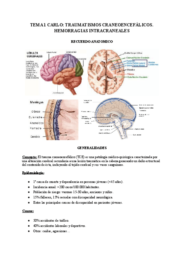 Miniatura del documento TRAUMATISMOS-CRANEOENCEFALICOS-2.pdf