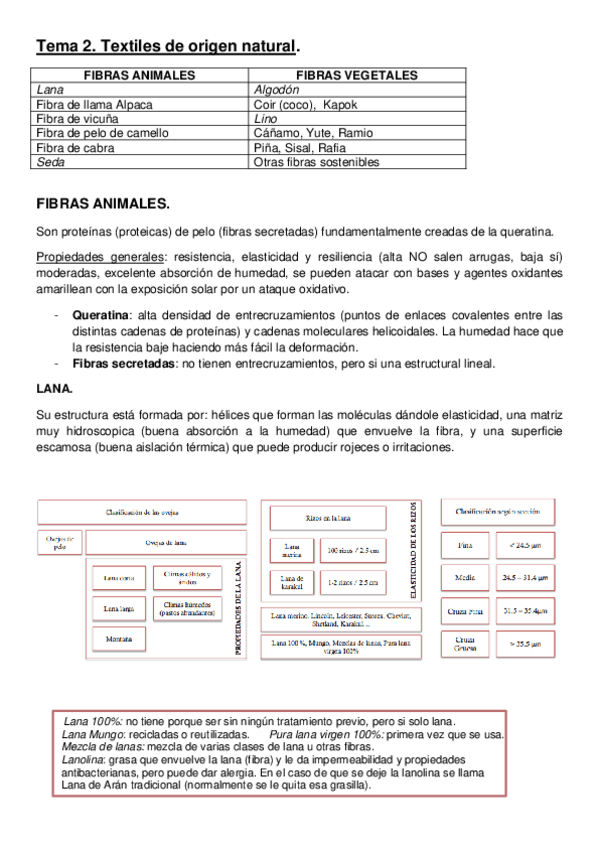 Miniatura del documento Apuntes-tema-2.pdf