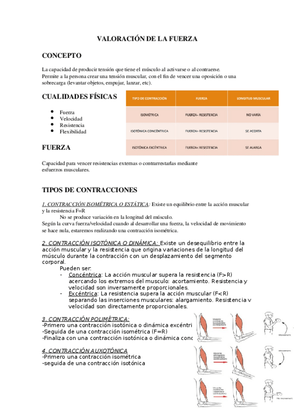 Miniatura del documento VALORACION-DE-LA-FUERZA.docx