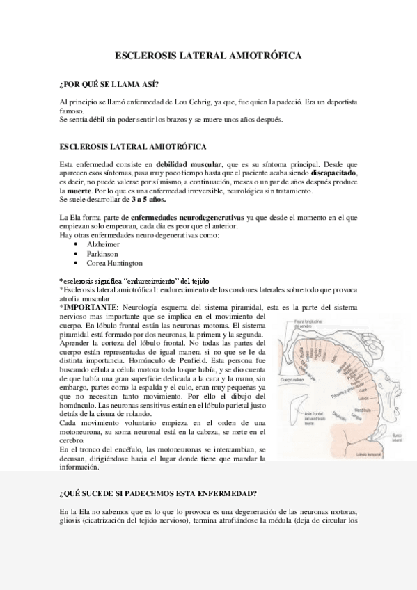 Miniatura del documento ESCLEROSIS-LATERAL-AMIOTROFICA.pdf