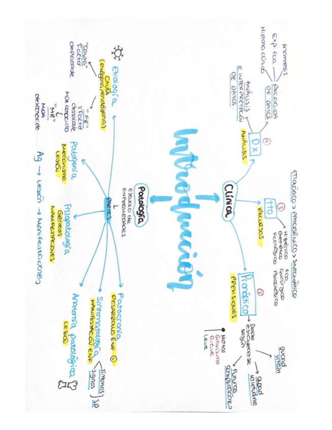 Miniatura del documento Introduccion-patologia-general.pdf