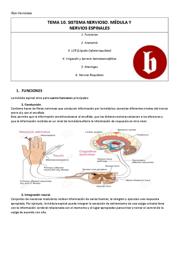Miniatura del documento TEMA-10-resumen.pdf