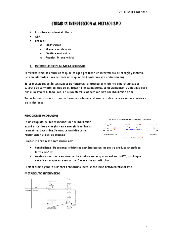 Miniatura del documento unidad-12-int.pdf