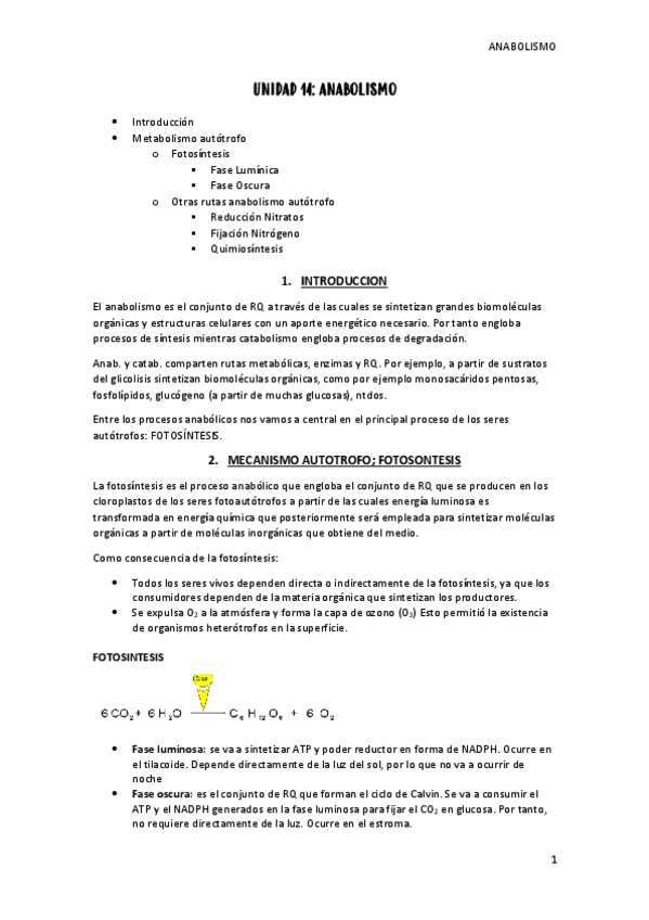 Miniatura del documento unidad-14-anabolismo.pdf