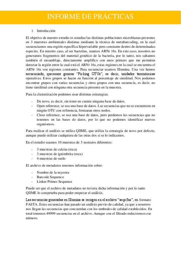 Miniatura del documento Informe-practicas-BTMA.pdf